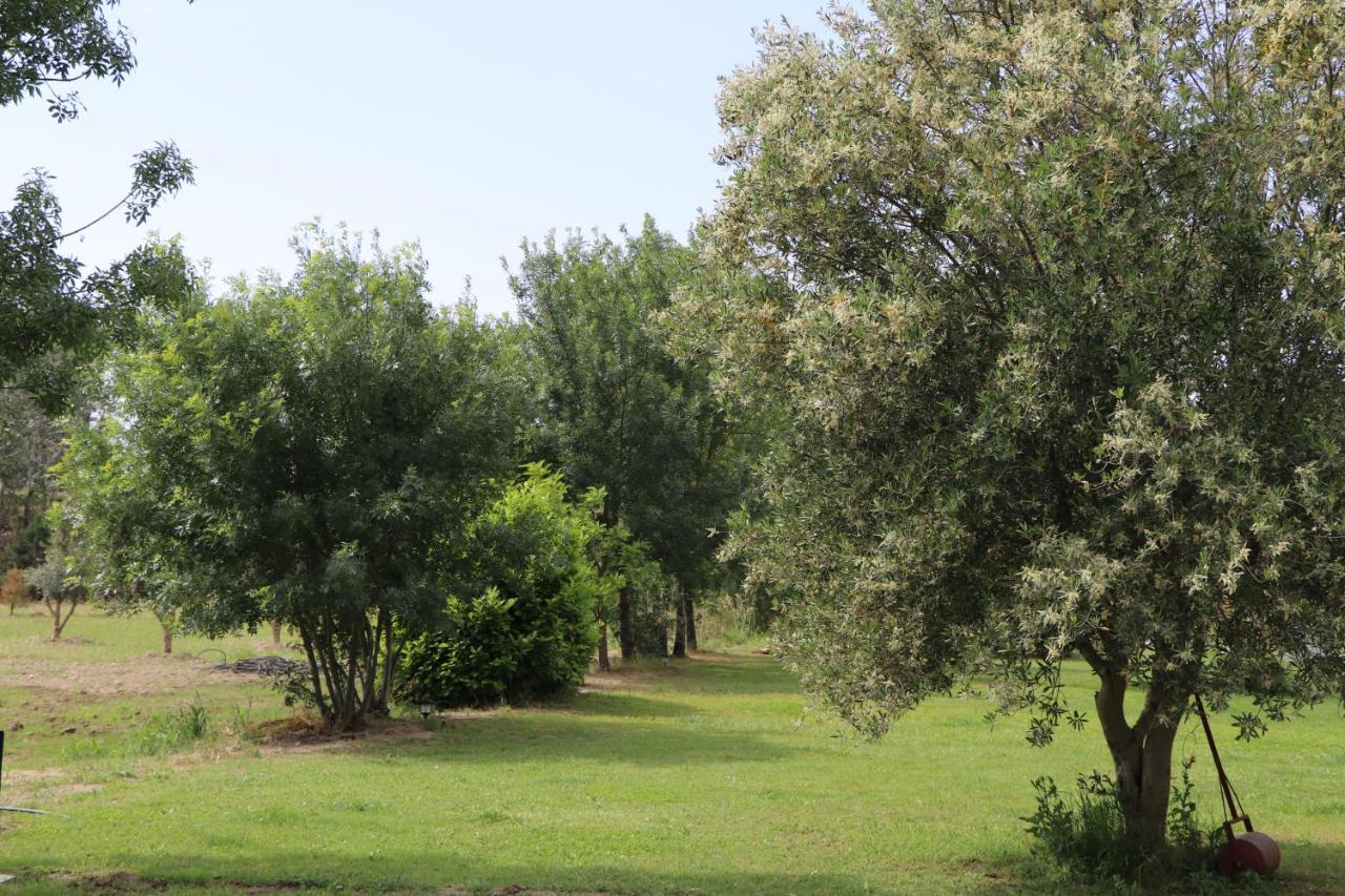 Le Mas Des Cerisiers Jacuzzi Et Sauna Inclus Pour Tous Les Logements Avignon Buitenkant foto