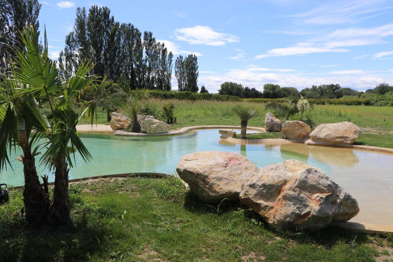 Le Mas Des Cerisiers Jacuzzi Et Sauna Inclus Pour Tous Les Logements Avignon Buitenkant foto