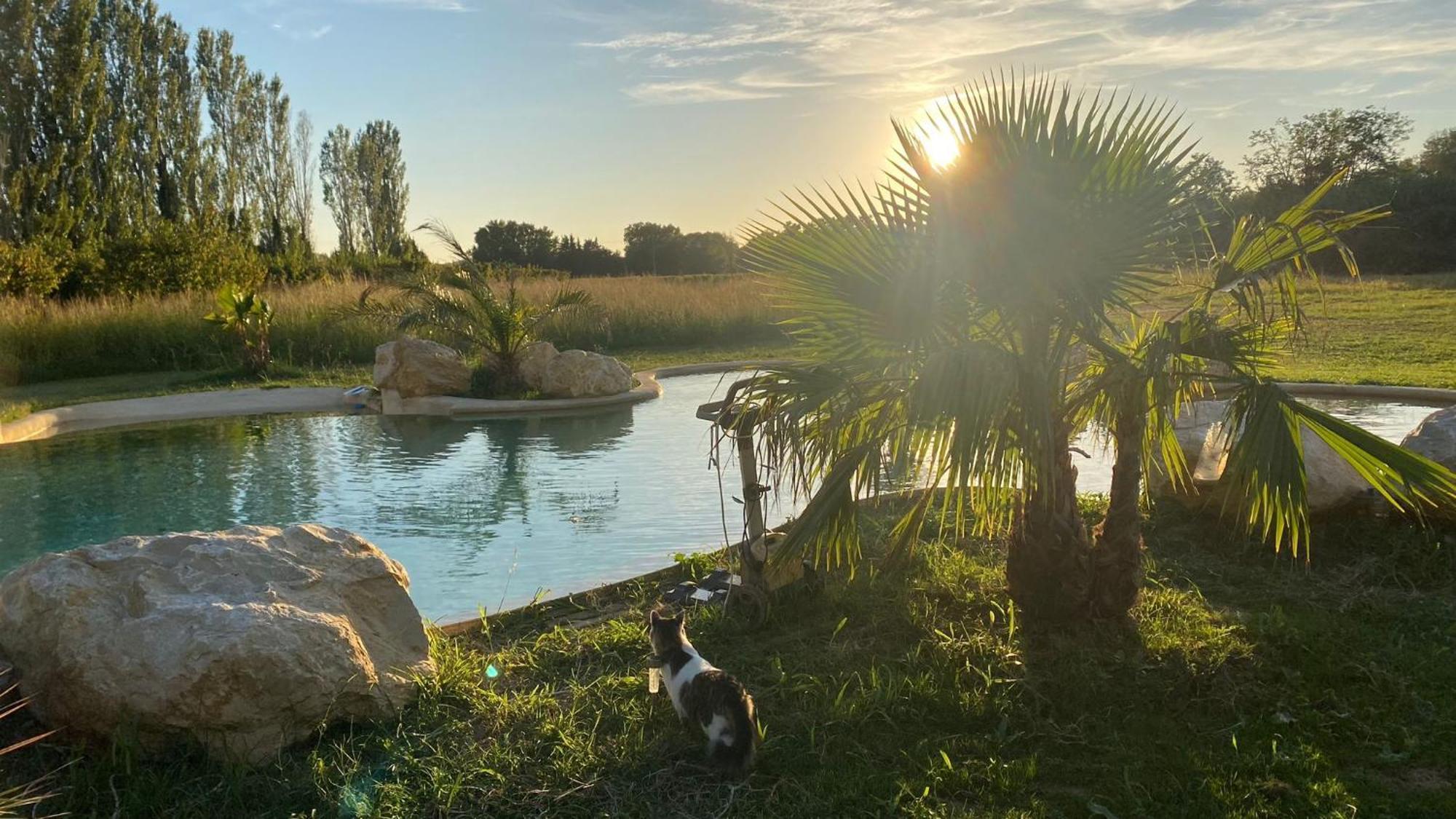 Le Mas Des Cerisiers Jacuzzi Et Sauna Inclus Pour Tous Les Logements Avignon Buitenkant foto