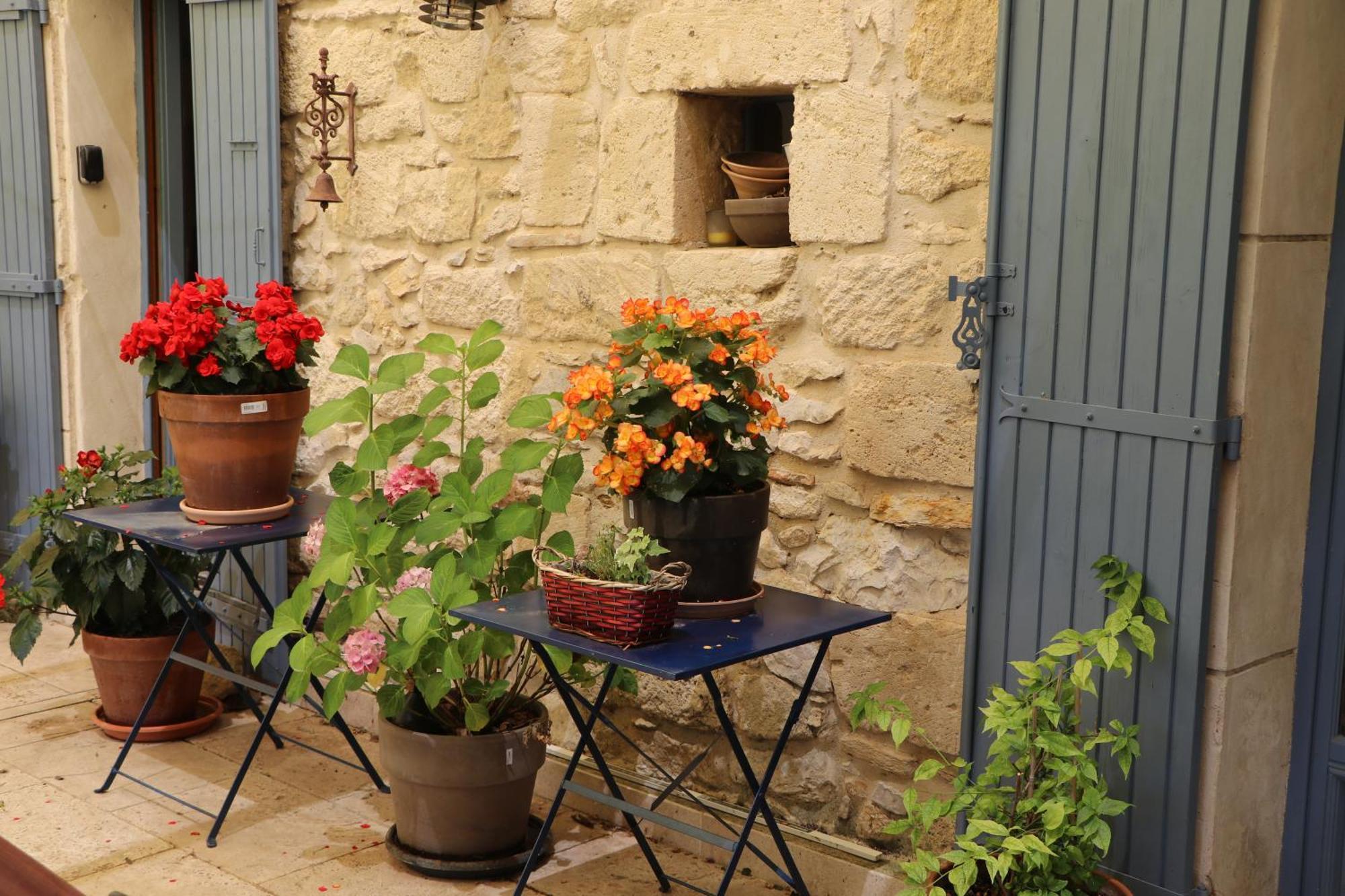 Le Mas Des Cerisiers Jacuzzi Et Sauna Inclus Pour Tous Les Logements Avignon Buitenkant foto