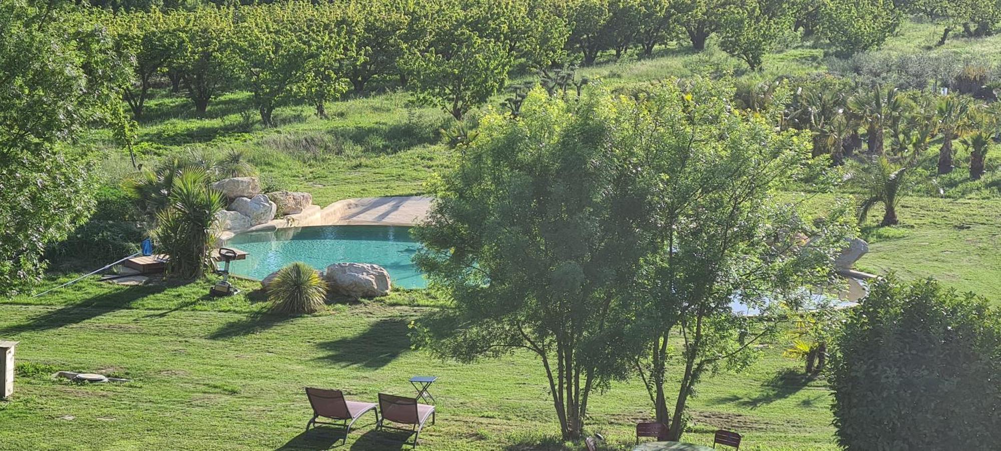 Le Mas Des Cerisiers Jacuzzi Et Sauna Inclus Pour Tous Les Logements Avignon Buitenkant foto