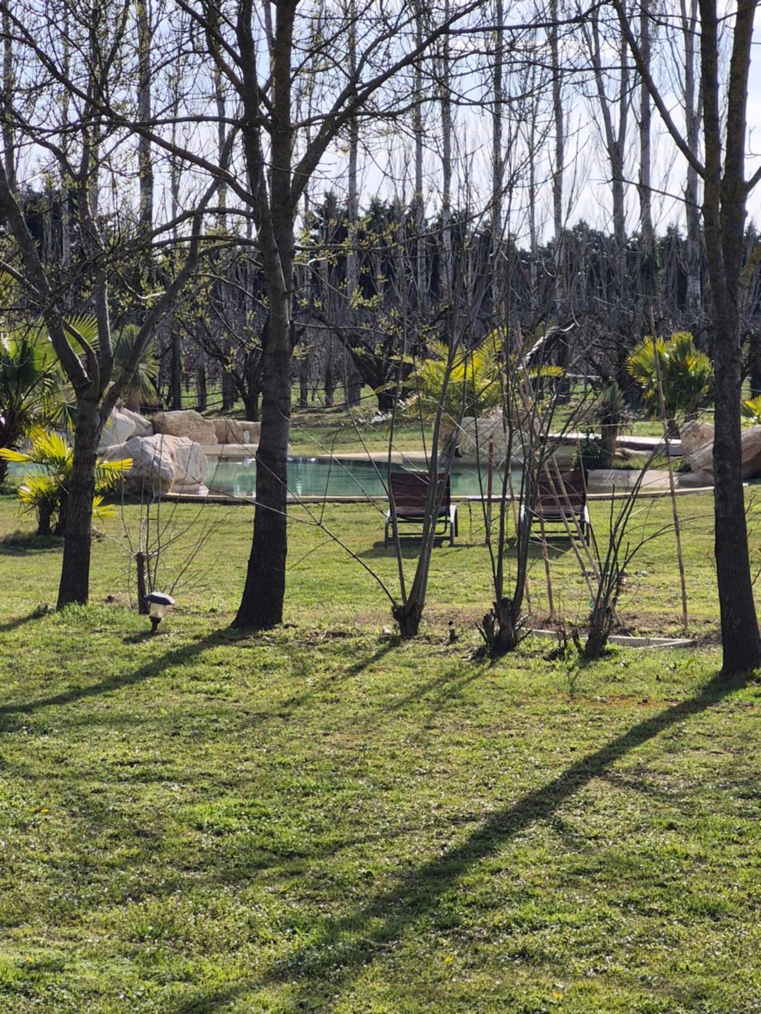 Le Mas Des Cerisiers Jacuzzi Et Sauna Inclus Pour Tous Les Logements Avignon Buitenkant foto